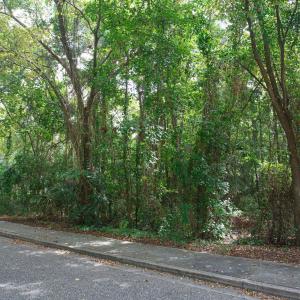 Photo #8 of 1211 Washington St., Myrtle Beach, SC 0.2 acres