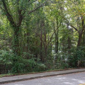 Photo #3 of 1211 Washington St., Myrtle Beach, SC 0.2 acres