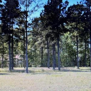 Photo #1 of 116 Pottery Landing Dr., Conway, SC 0.5 acres