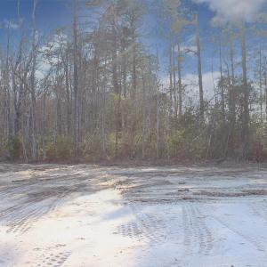 View of street with a wooded view