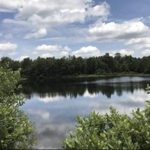 Photo #2 of Lot 2 Chow Ln., Conway, SC 3.7 acres