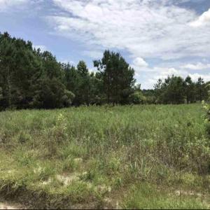 Photo #3 of Lot 2 Chow Ln., Conway, SC 3.7 acres