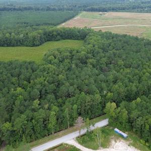 Bird's eye view of a heavily wooded area