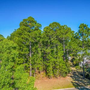 View of undeveloped land