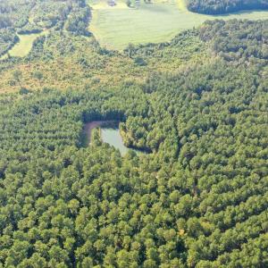Aerial view of a heavily wooded area