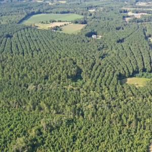 Aerial view of property's location featuring a for