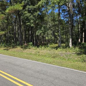 Photo #5 of TBD Allen Dew Rd., Conway, SC 3.0 acres