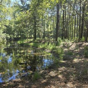 Photo #8 of TBD Allen Dew Rd., Conway, SC 3.0 acres