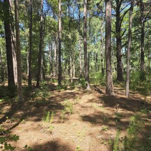 Photo #7 of TBD Allen Dew Rd., Conway, SC 3.0 acres