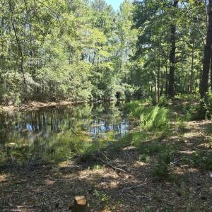 Photo #3 of TBD Allen Dew Rd., Conway, SC 3.0 acres