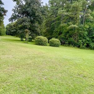 View of green lawn