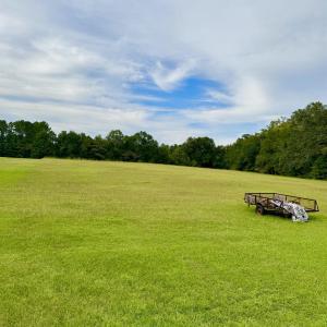 View of property's community featuring a yard and