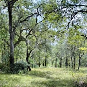 Photo #1 of 140 Waccamaw River Dr., Conway, SC 2.2 acres