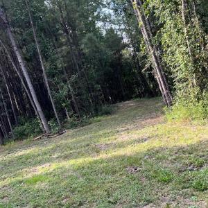 Photo #1 of TBD Oglethorpe Dr., Andrews, SC 4.7 acres