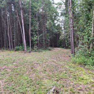 Photo #3 of TBD Oglethorpe Dr., Andrews, SC 4.7 acres