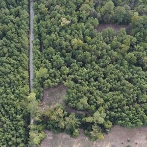 Photo #8 of TBD Oglethorpe Dr., Andrews, SC 4.7 acres