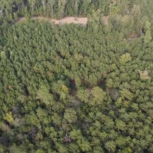 Photo #10 of TBD Oglethorpe Dr., Andrews, SC 4.7 acres