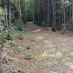 Photo #2 of TBD Oglethorpe Dr., Andrews, SC 4.7 acres