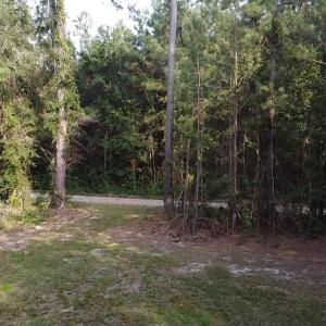 Photo #13 of TBD Oglethorpe Dr., Andrews, SC 4.7 acres
