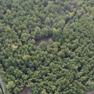 Photo #7 of TBD Oglethorpe Dr., Andrews, SC 4.7 acres
