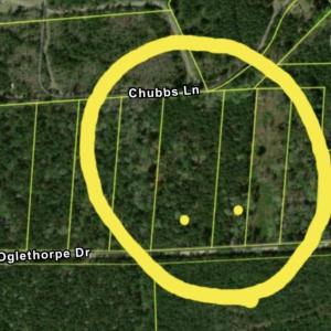 Photo #16 of TBD Oglethorpe Dr., Andrews, SC 4.7 acres