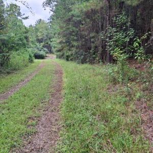 Photo #6 of TBD Oglethorpe Dr., Andrews, SC 4.7 acres