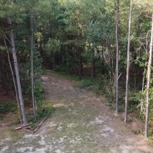 Photo #15 of TBD Oglethorpe Dr., Andrews, SC 4.7 acres
