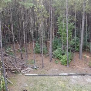 Photo #14 of TBD Oglethorpe Dr., Andrews, SC 4.7 acres