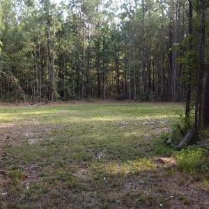 Photo #12 of TBD Oglethorpe Dr., Andrews, SC 4.7 acres