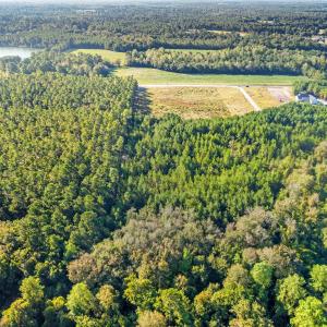 Aerial view of property's location with a heavily