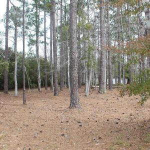 View of undeveloped land