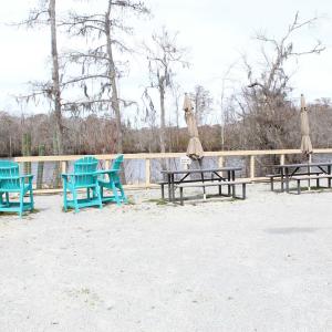 View of play area
