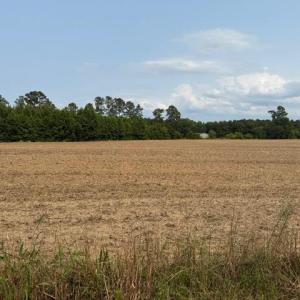 Photo #1 of 1776 Mack Rd., Conway, SC 2.0 acres