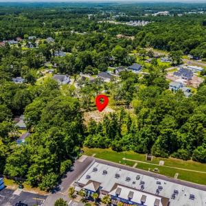 Aerial view of residential area with a forest