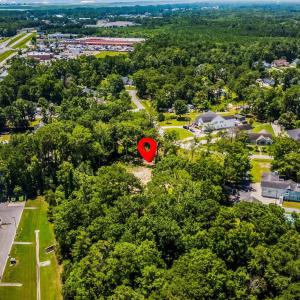 Aerial perspective of suburban area with a tree fi