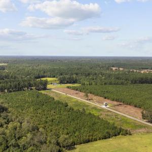 Photo #4 of Lot 3 Black Creek Rd., Nichols, SC 3.4 acres
