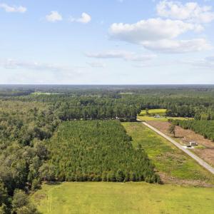 Photo #3 of Lot 3 Black Creek Rd., Nichols, SC 3.4 acres