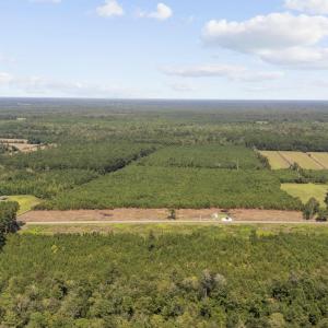 Photo #5 of Lot 3 Black Creek Rd., Nichols, SC 3.4 acres