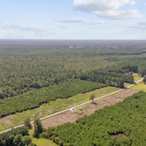 Photo #12 of Lot 3 Black Creek Rd., Nichols, SC 3.4 acres