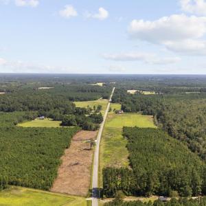 Photo #8 of Lot 3 Black Creek Rd., Nichols, SC 3.4 acres