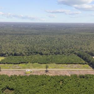 Photo #11 of Lot 3 Black Creek Rd., Nichols, SC 3.4 acres