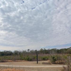 Photo #4 of TBD Country Club Rd., Hamer, SC 33.0 acres
