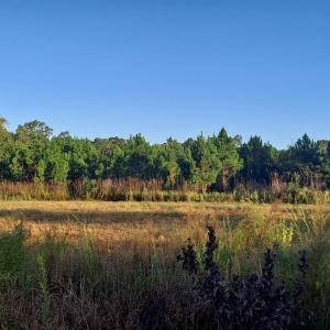 Photo #1 of TBD Wee Tee Rd., Andrews, SC 6.0 acres