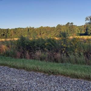 Photo #5 of TBD Wee Tee Rd., Andrews, SC 6.0 acres