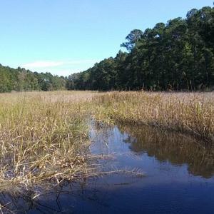 Photo #12 of Slip 36 Friendfield Marina, Georgetown, SC 0.0 acres