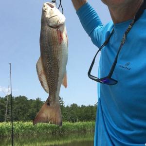 Photo #14 of Slip 36 Friendfield Marina, Georgetown, SC 0.0 acres