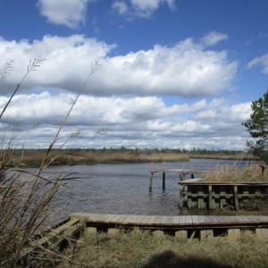 Photo #17 of Slip 36 Friendfield Marina, Georgetown, SC 0.0 acres