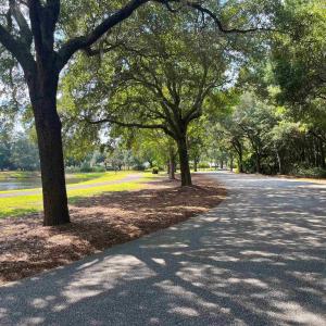 Photo #20 of 334 Brickwell Ln., Pawleys Island, SC 4.0 acres