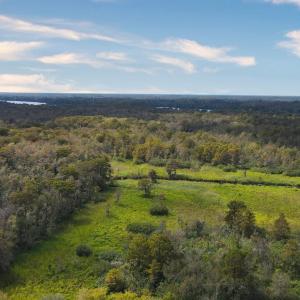 Photo #13 of 334 Brickwell Ln., Pawleys Island, SC 4.0 acres