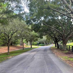 Photo #21 of 334 Brickwell Ln., Pawleys Island, SC 4.0 acres